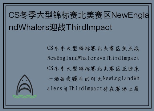 CS冬季大型锦标赛北美赛区NewEnglandWhalers迎战ThirdImpact